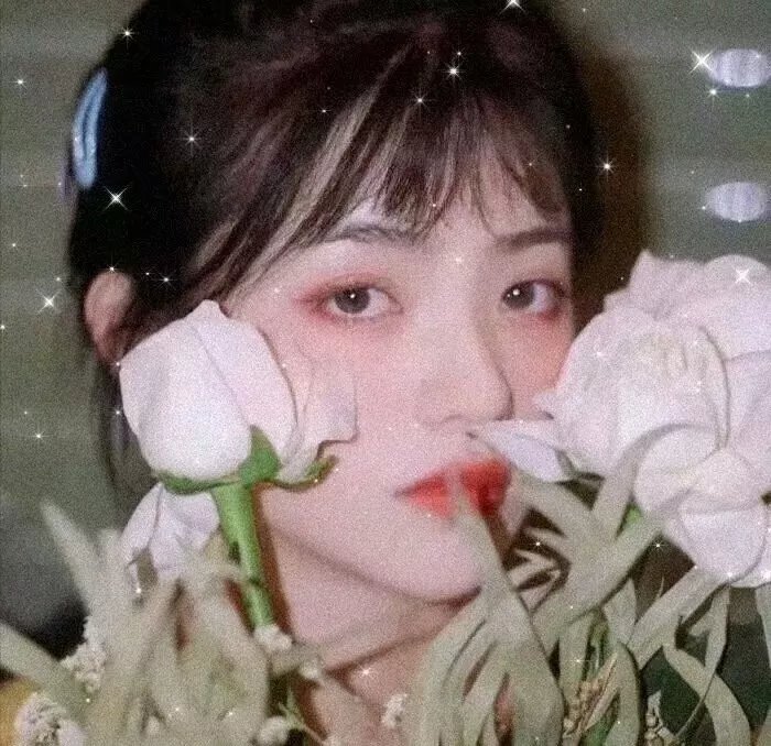 碧窗艳影